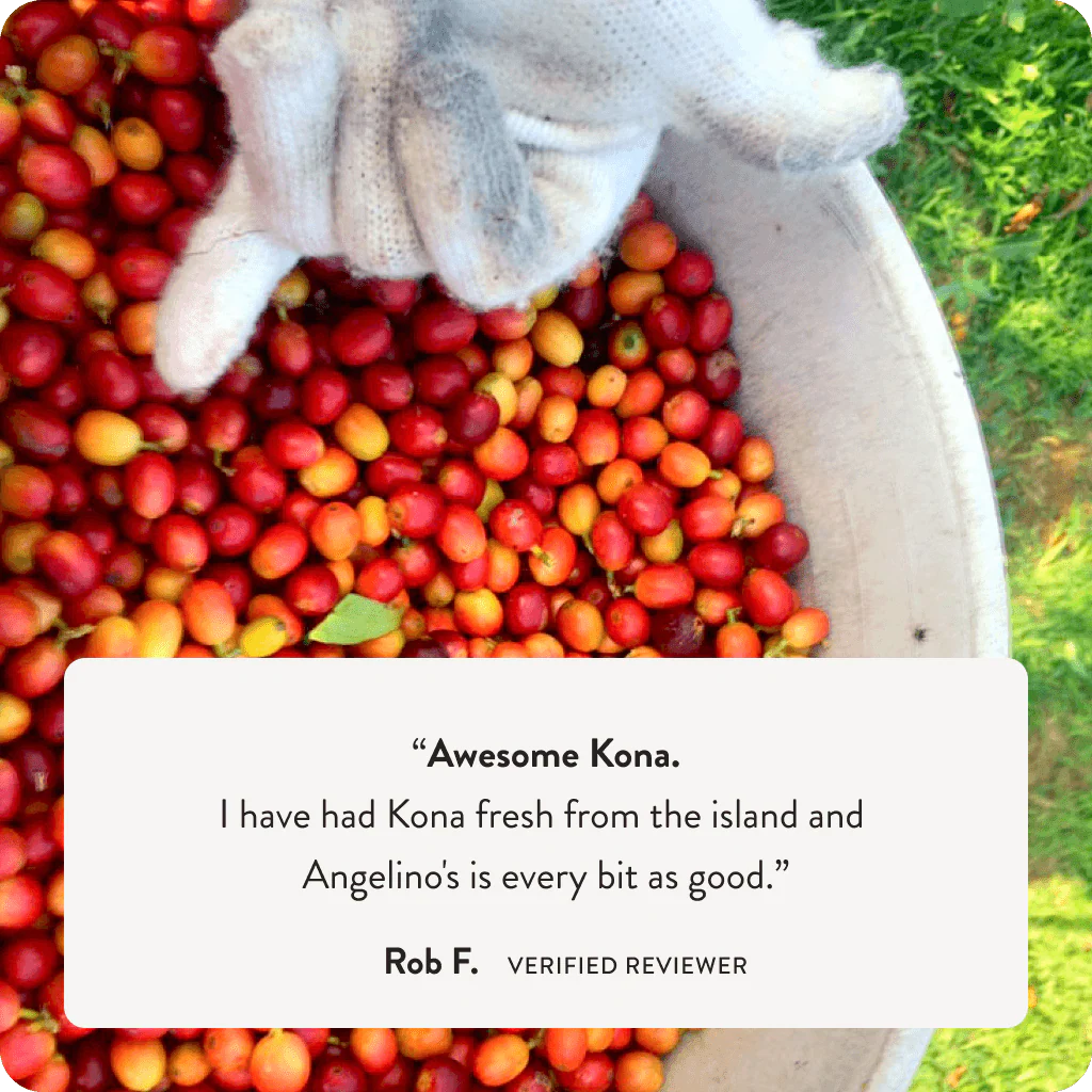 100% Kona - Image 4
