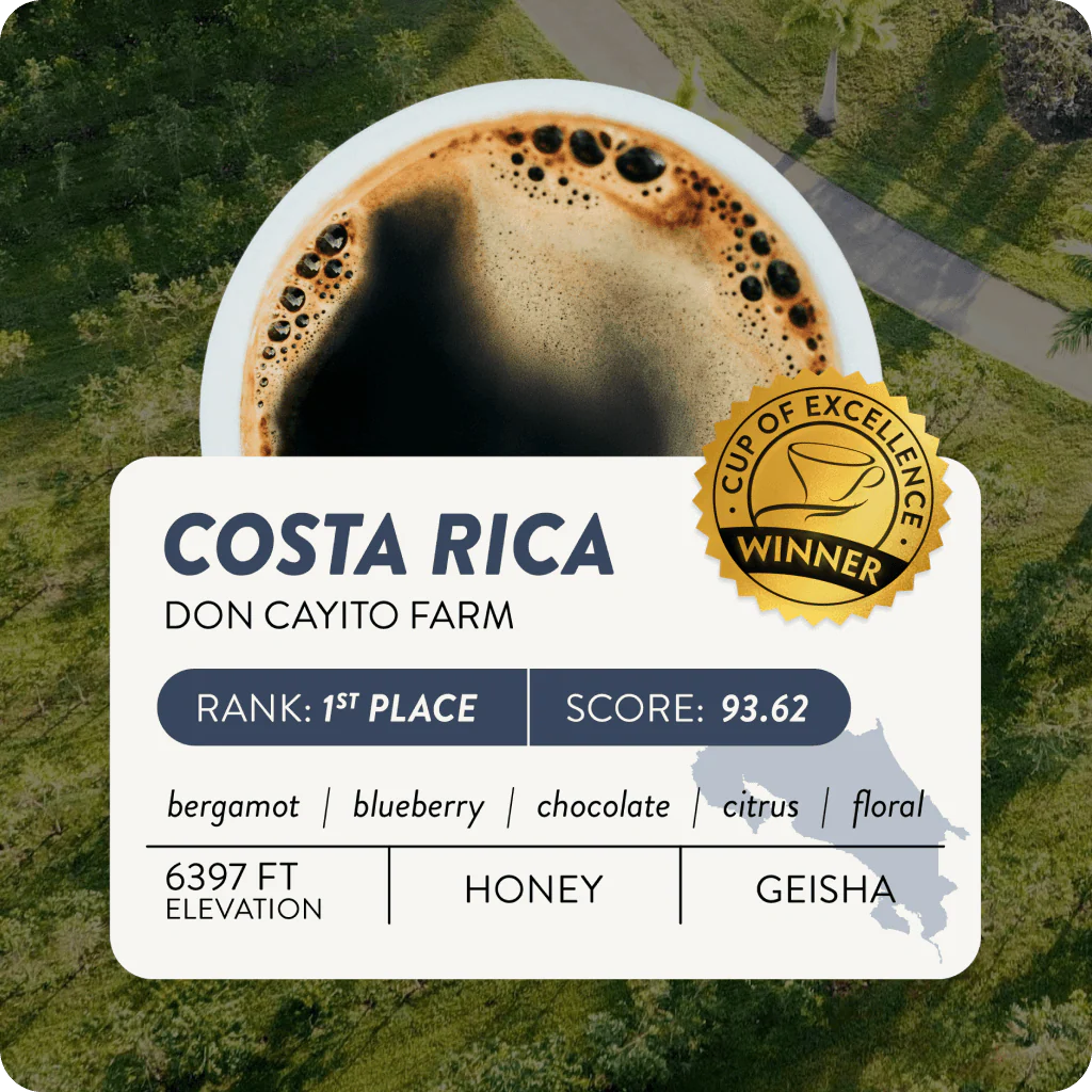 Costa Rica Cup of Excellence #1 Honey | 93.62 Score (75 grams) - Image 2