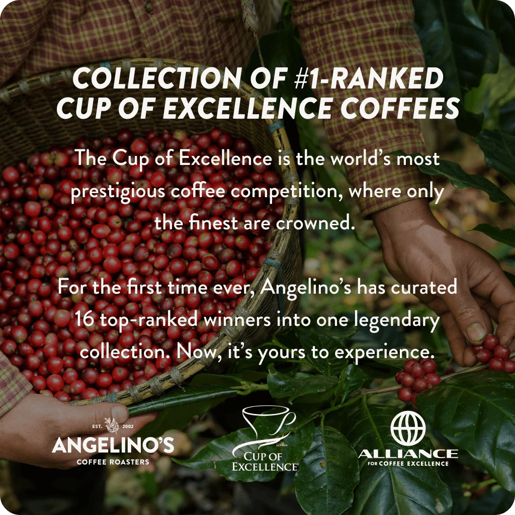 Cup of Excellence Tasting Set | 12 Different Top-Ranked Coffees (12 cups) - Image 4