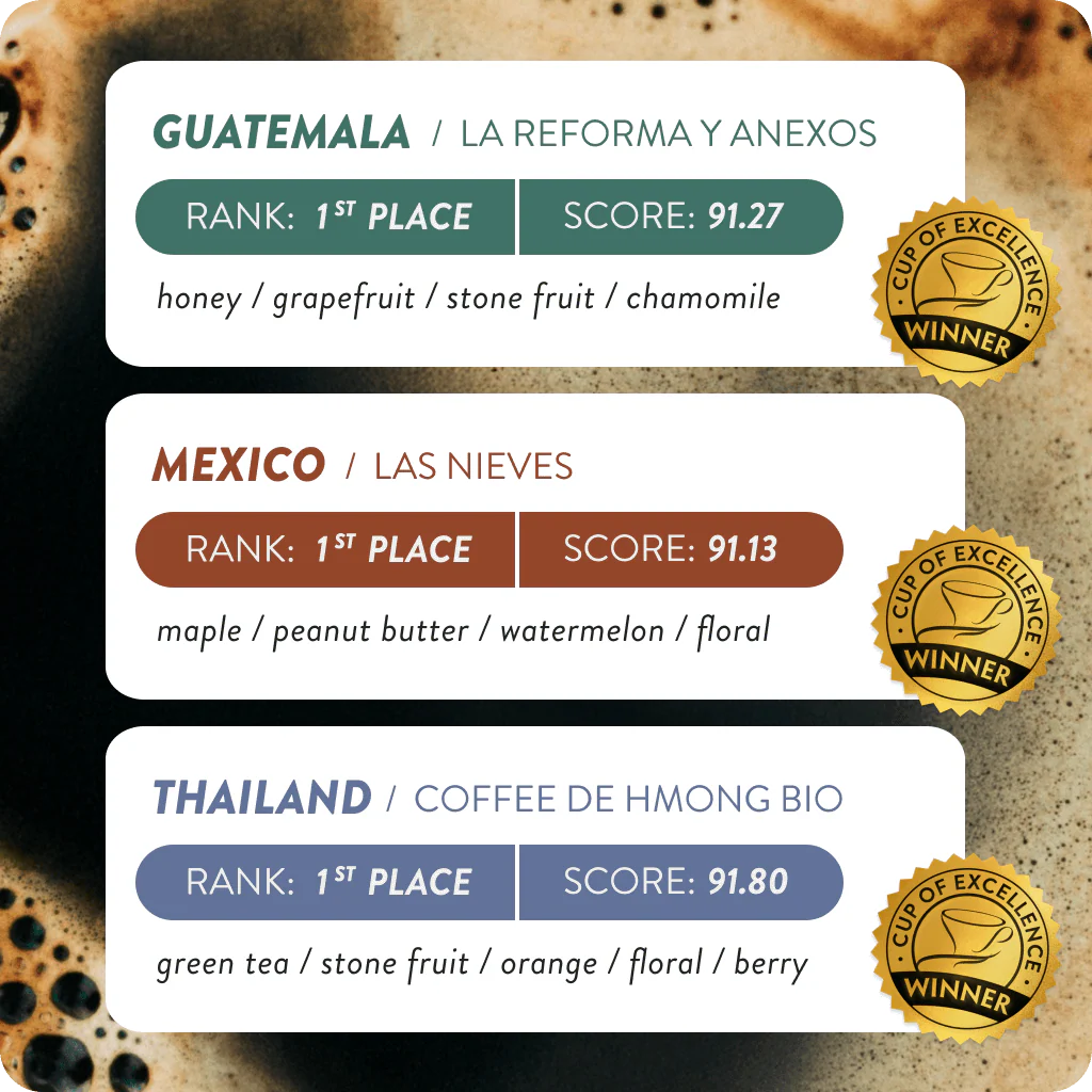 Cup of Excellence Variety | #1 Guatemala, #1 Mexico, #1 Thailand (12 cups) - Image 2