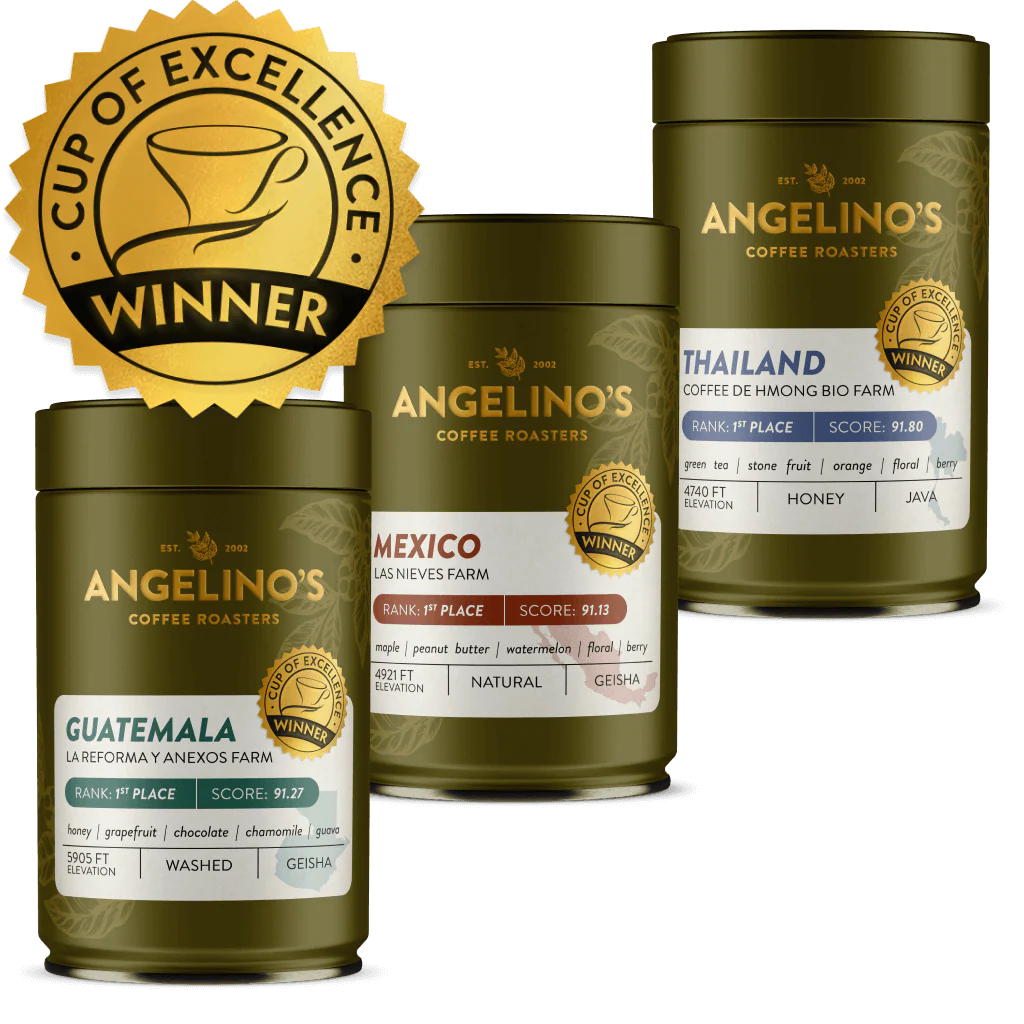 Cup of Excellence Variety | #1 Guatemala, #1 Mexico, #1 Thailand (225 grams)
