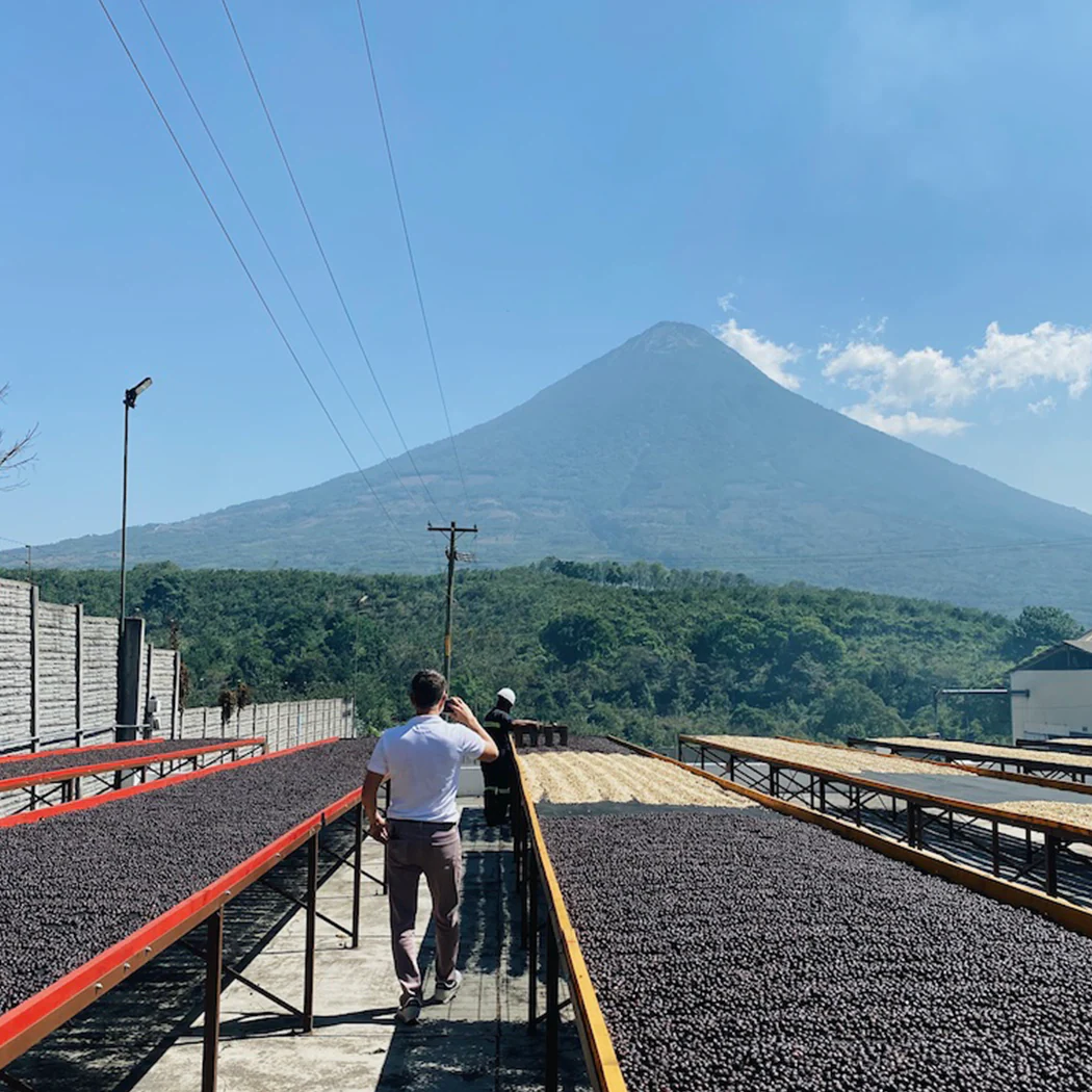 Guatemala Antigua - Image 8