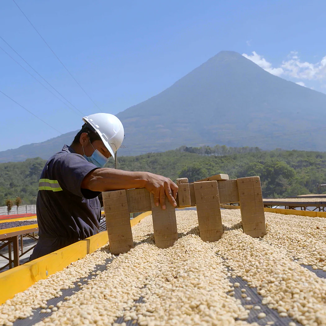 Guatemala Antigua - Image 9