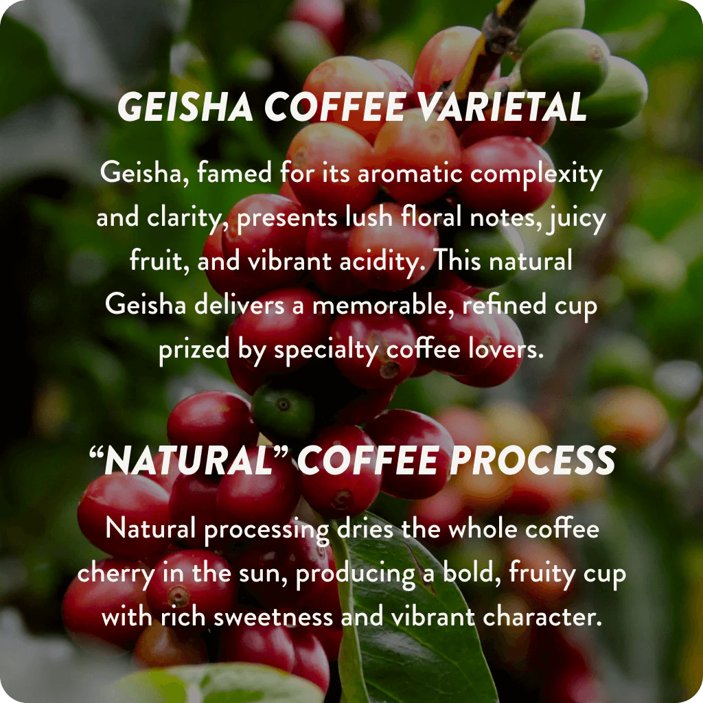 Guatemala Cup of Excellence #1 Natural | 90.2 Score (4 or 12 cups) - Image 5