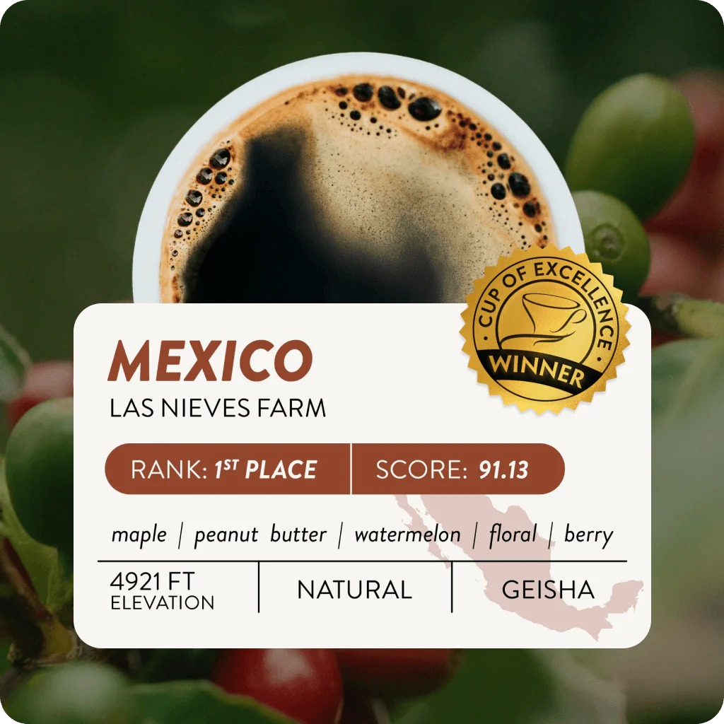 Mexico Cup of Excellence #1 Natural | 91.13 Score (75 grams) - Image 2