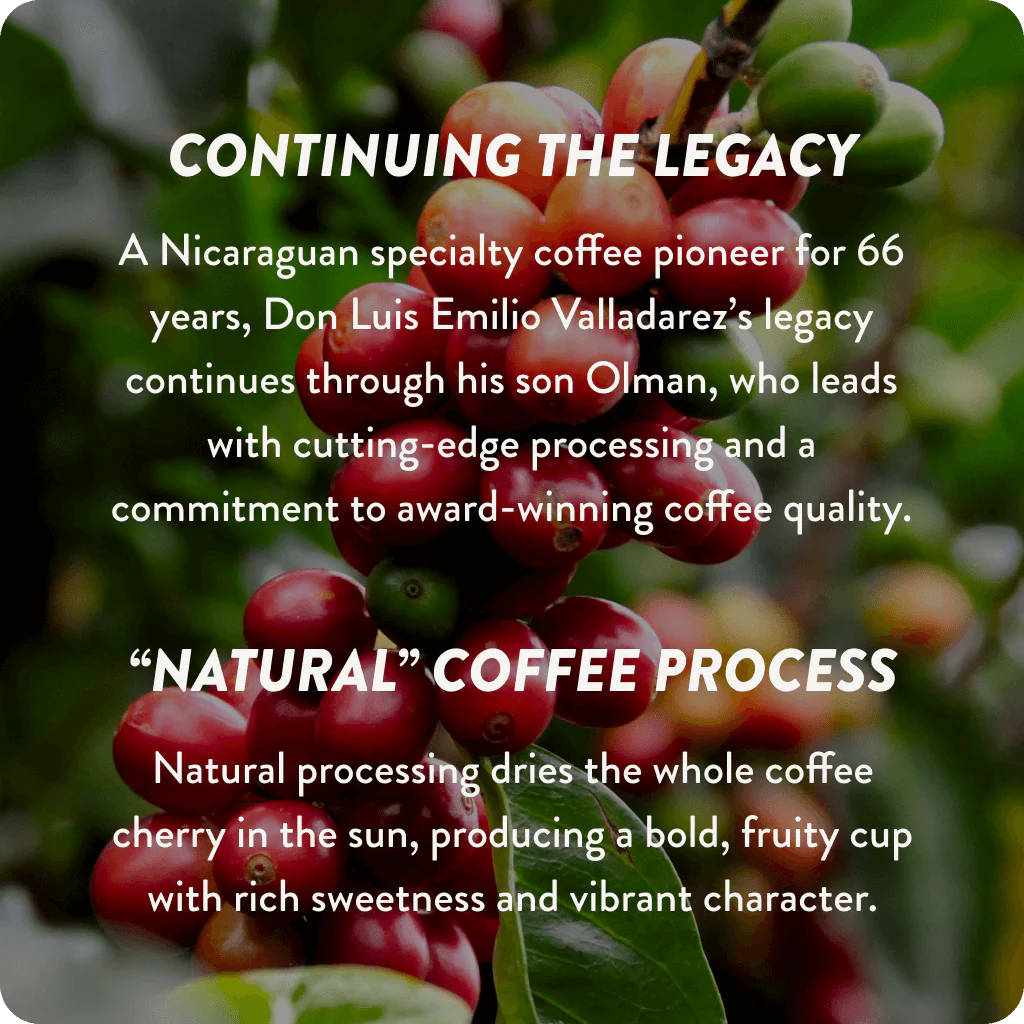 Nicaragua Cup of Excellence #1 Natural | 91.1 Score (75 grams) - Image 5