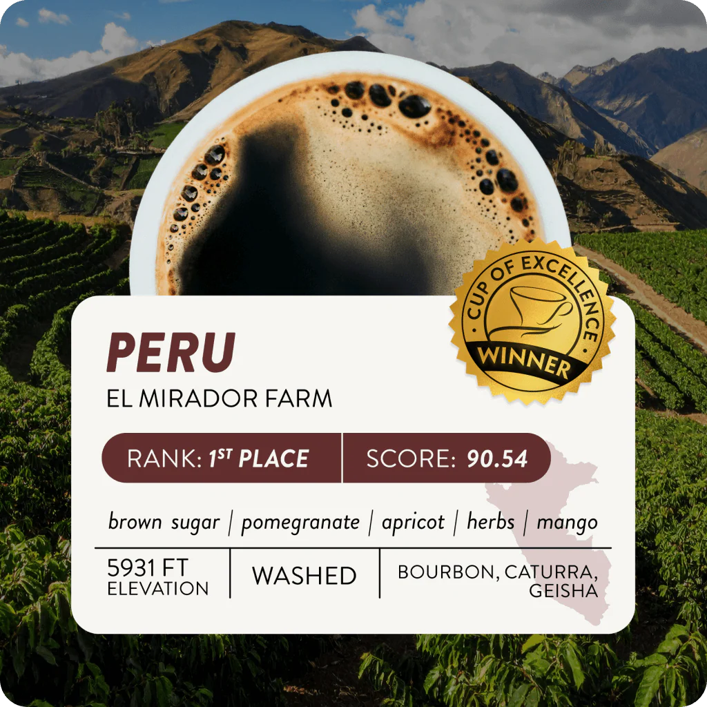 Peru Cup of Excellence #1 Washed | 90.54 Score (4 or 12 cups) - Image 2