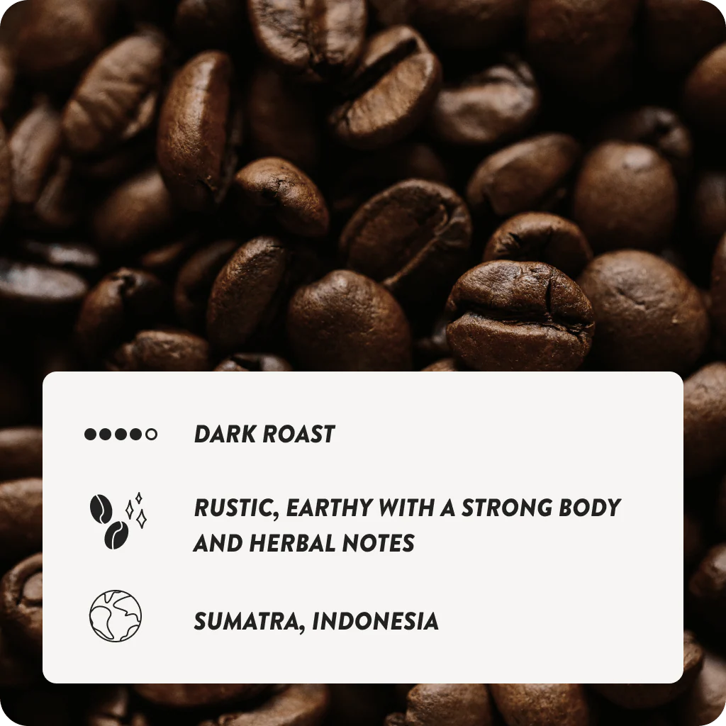 Sumatra Dark - Image 3