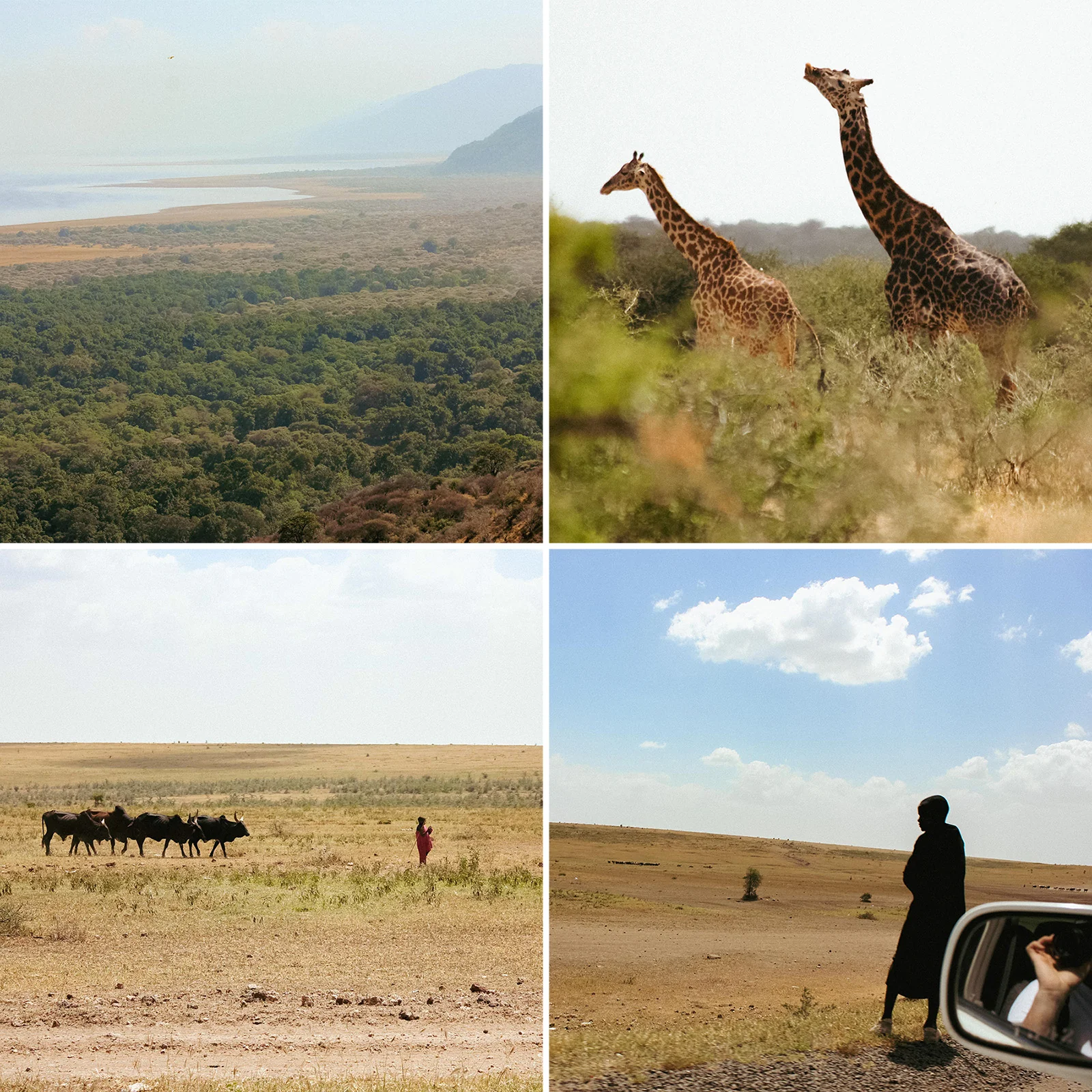 Tanzania - Image 5